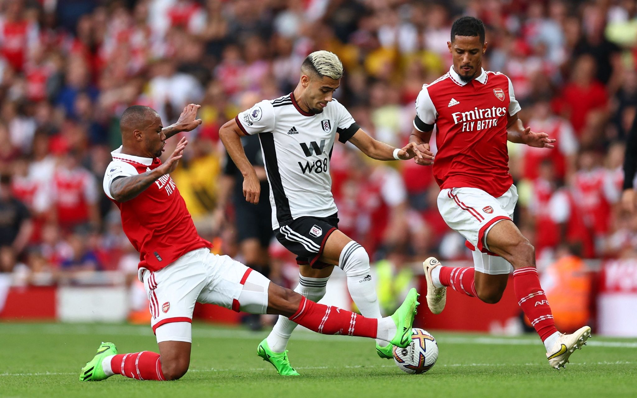 己的潜能发 己的潜能发